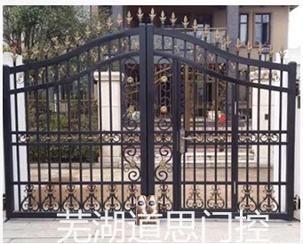庭院大门-铁艺大门